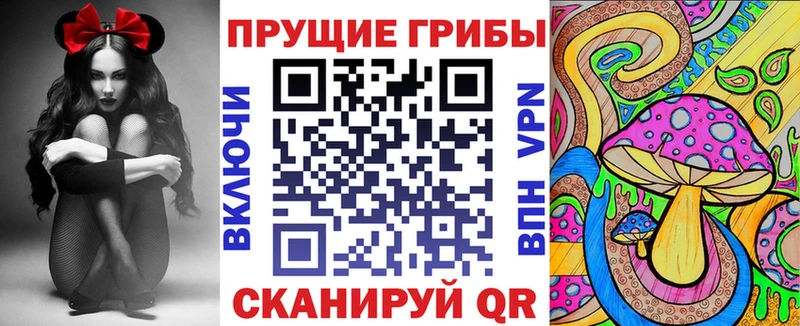 Галлюциногенные грибы Psilocybine cubensis  Бузулук 